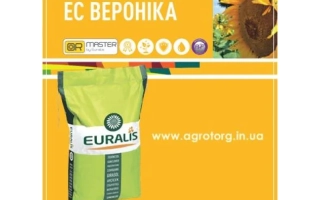 Пакет насіння соняшника ЄС ВЕРОНІКА