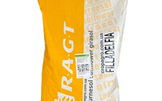 Филладельфия