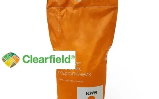 Мешок семян подсолнечника КВС АСЕР КЛ от Clearfield