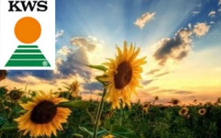 КВС Гелия 04