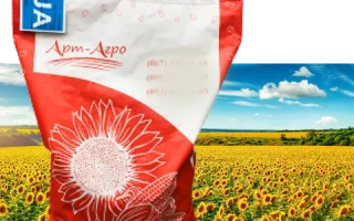 Мішок насіння соняшника з написом НАСИНЯ на червоному фоні та зображенням поля - ЛГ 1234 ІА