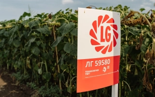 Знак з логотипом LG та написом ЛГ 59580 на фоні соняшнику - ЛГ 127 А