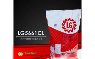 Мешок семян подсолнечника LG5661CL от Clearfield - ЛГ58561 КЛ