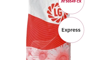 Пакет семян подсолнечника ЛГ50549 СХ - ЛГ50449 СХ