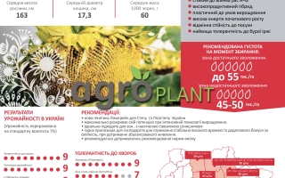 Семечный пакет подсолнечника ЛГ50616 с характеристиками и картой полей