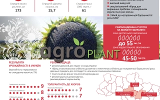 Информационная карточка сорта подсолнечника ЛГ50621 с фото семян и характеристиками
