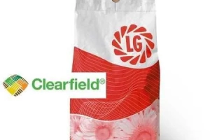 Пакет с семенами подсолнечника Clearfield - ЛГ5463 КЛ