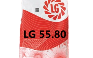 Мешок семян подсолнечника LG 55.80 - ЛГ5580