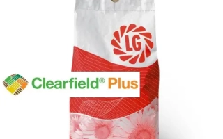 Мешок семян подсолнечника LG5671 CLP с логотипом Clearfield Plus - ЛГ5671 КЛП