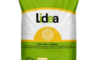 Мешок семян подсолнечника Lidea - ЛИД5038Х