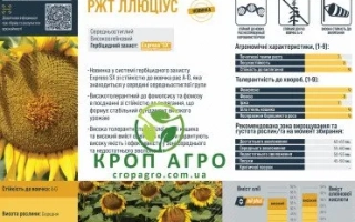 Семечки подсолнечника сорта ЛЛЮЦИУС на упаковке