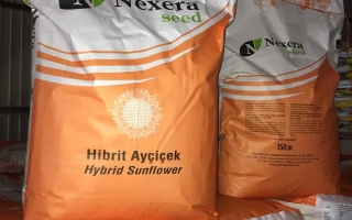 Мешок с гибридным подсолнечником Nexera - Магура