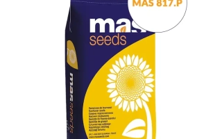 МАС 817П