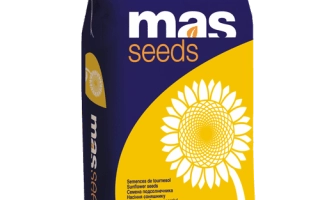 Мешок семян подсолнечника MAS 93CP от MAS Seeds - МАС 93СП