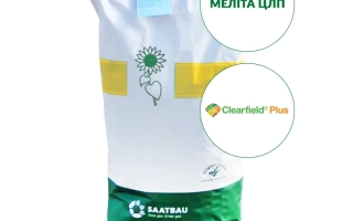 Мешок с семенами подсолнечника Мелита ЦЛП