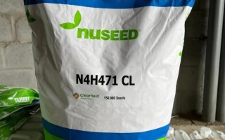 Мешок семян подсолнечника N4H471 CL от бренда NuSeed - Н4Х471 КЛ