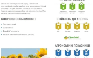 Информационная карточка сорта подсолнечника НАХ469 КЛ с фото цветущего растения - Н4Л460 КЛ