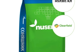 Мешок семян подсолнечника Н5Л301 КЛ от бренда Nuseed