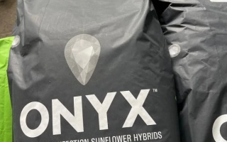 Мешок семян подсолнечника ONYX - Н5ЛМ307