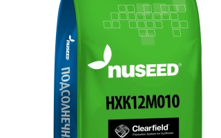 Мішок насіння соняшнику HXK12M010 від Nuseed - НХК 12 М 010