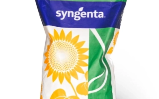 Мешок с семенами подсолнечника Syngenta - НК Рокки