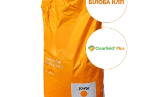 Пакет семян подсолнечника Блоба КЛП - Нобиллис Клп