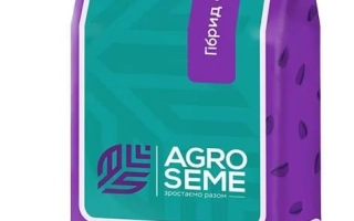 Пакет семян подсолнечника НС Голиат от агрофирмы Агро Семе