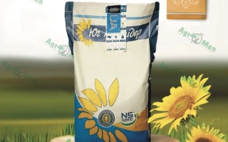 Пакет семян подсолнечника НС Х 195 на деревянной подставке с подсолнухами на фоне