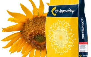 Мешок семян подсолнечника НС Х 7969 с изображением цветка