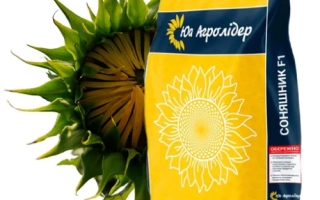 Мешок с семенами подсолнечника НС Имисан на фоне подсолнуха