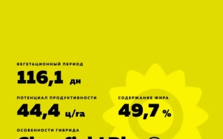 Претория КЛП