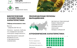 Документ с названием БРАВО и изображением подсолнуха - КС Браво