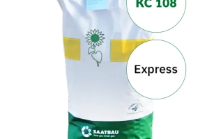 Мешок семян подсолнечника KC 108 - КС 108