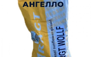 РЖТ Ангелло