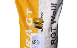 РЖТ Капитолл