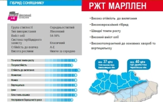РЖТ Марллен