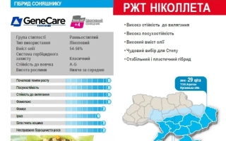 РЖТ Николлета