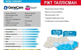 РЖТ Таллисман