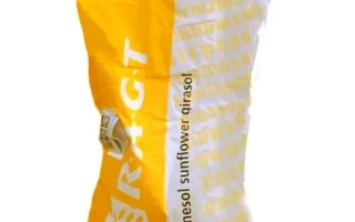 РЖТ Анжелло