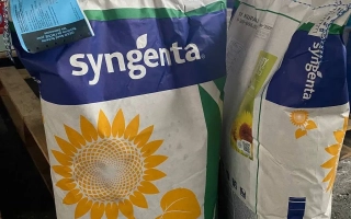 СИ Катана КЛП