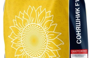 Ювилей СГИ 100