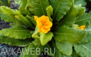 День Победы