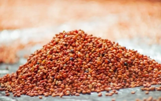 Альтернативне