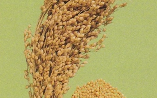 САРАТОВСЬКЕ 3