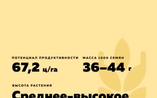 Альтернатива