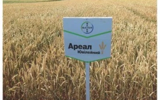 Ареал ювилейний