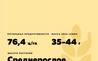 ЧЕРНОЗЕМКА 88