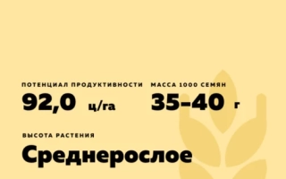 Донской Янтарь