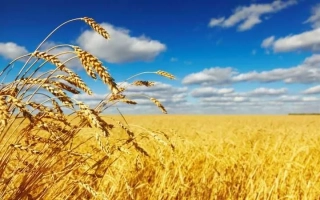 Федорівка / Федорівка