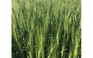 Харківська 105